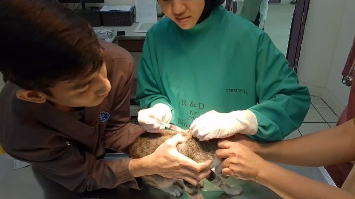 Program Vaksinasi Rabies Gratis