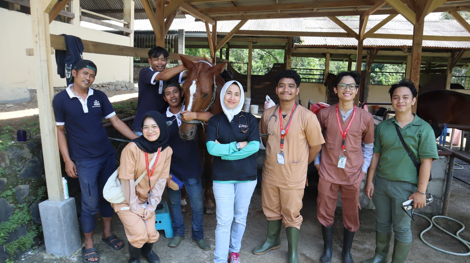 HOUSE CALL PENANGANAN KUDA DI JAKARTA EQUASTRIAN
