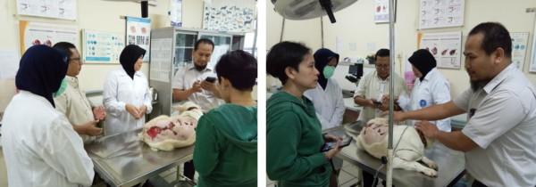 Percepat persembuhan luka pasien, RSHP IPB University kembangkan terapi platelet rich plasma