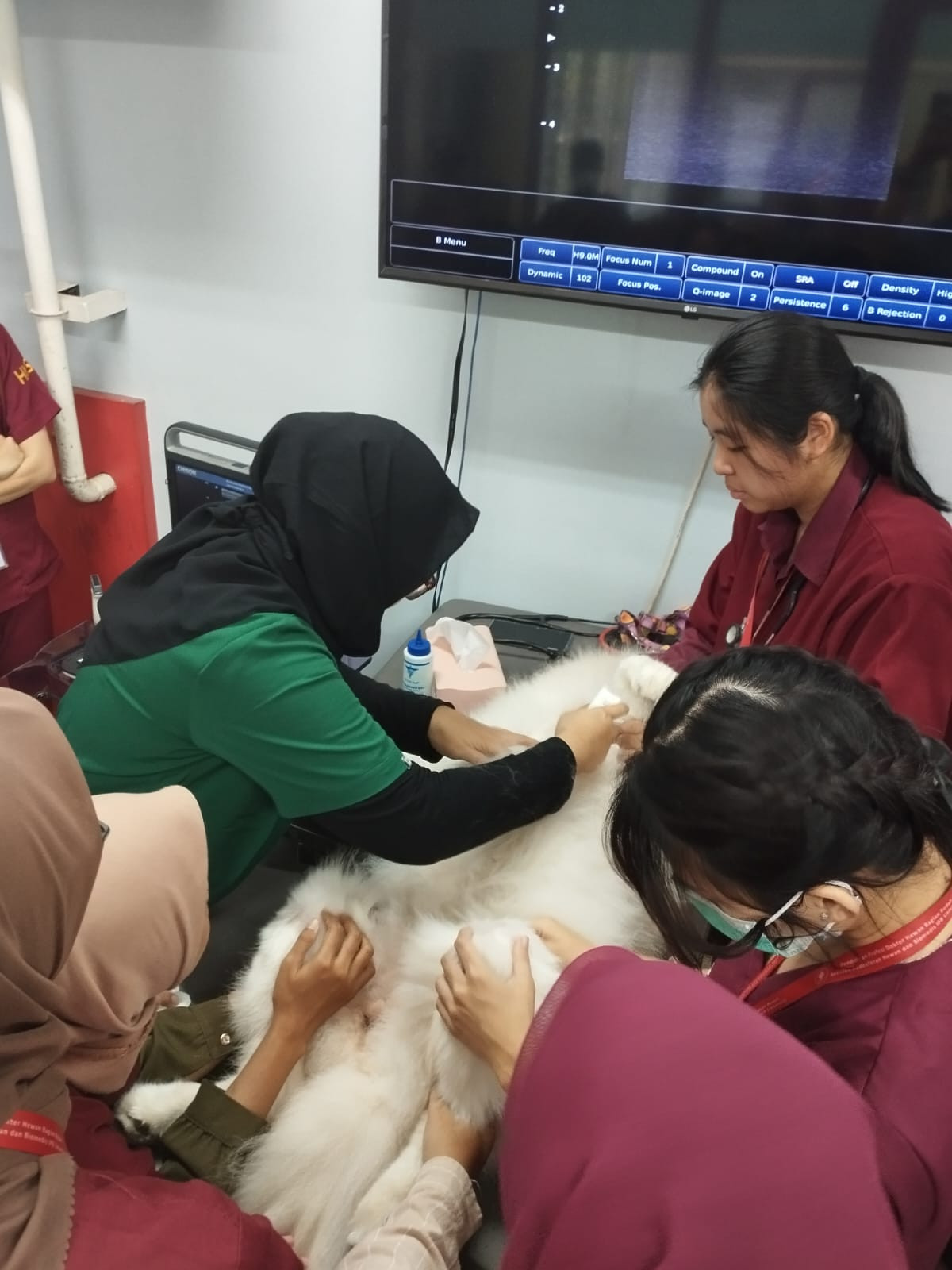 Kegiatan Pekan Bakti RSHP SKHB IPB UNIVERSITY Dalam Rangka Memperingati  Dies Natalies Ke-61 dan World Rabies Days 2024